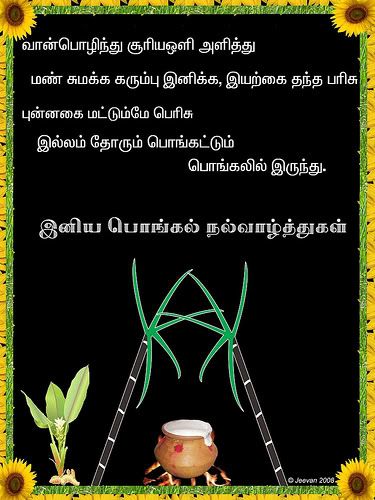 Pongal Wishes E-greeting cards | Happy Pongal Wishes Cards, Pongal .