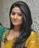 Sneha+photos+in+saree