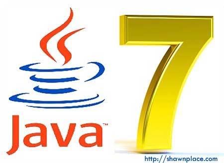 Java SE 7 Picture
