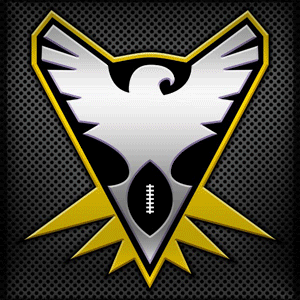 Nighthawk Logo