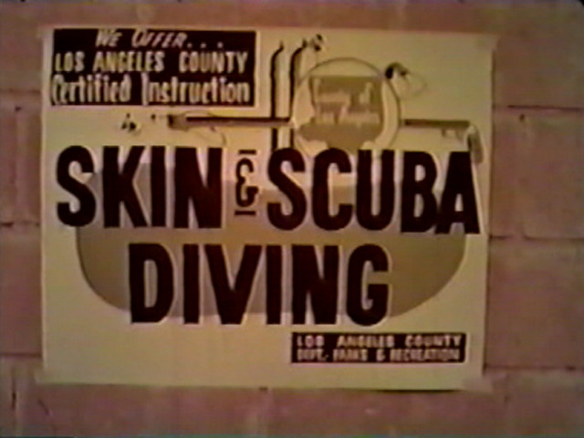 best underwater cameras for diving