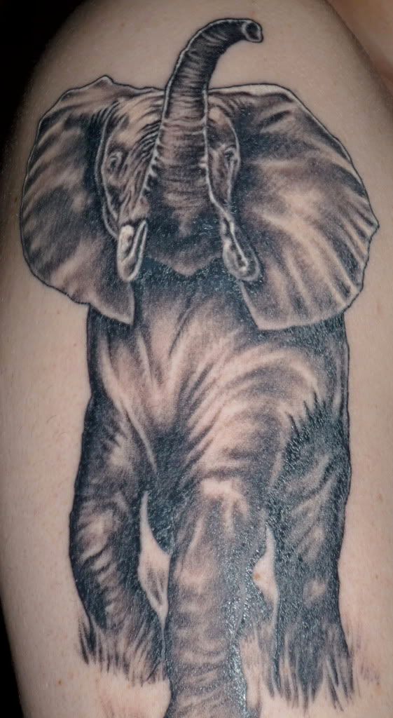 elephant tattoo small