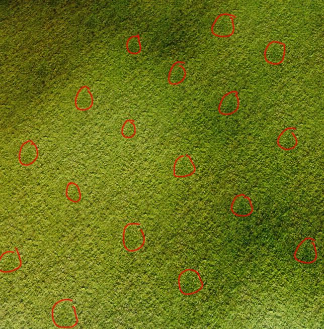 grass_tile_01.jpg