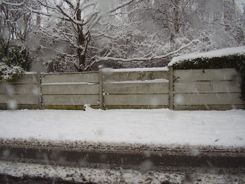 snow01006.jpg