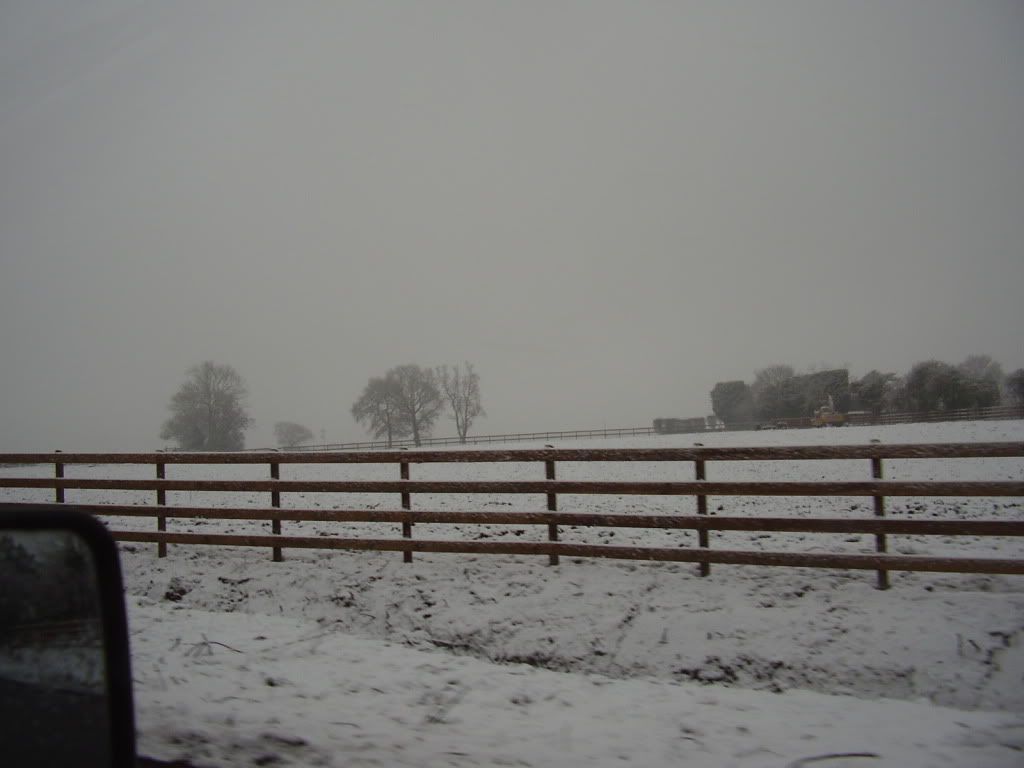 snow01038.jpg