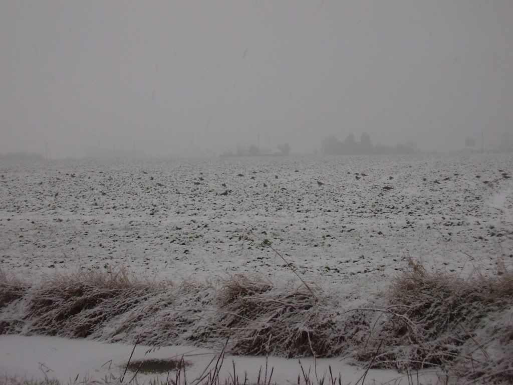 snow01040.jpg