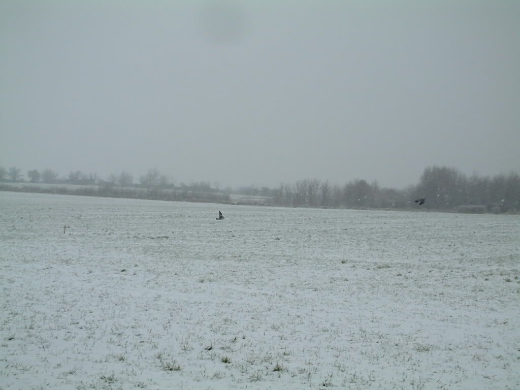 snow01072.jpg