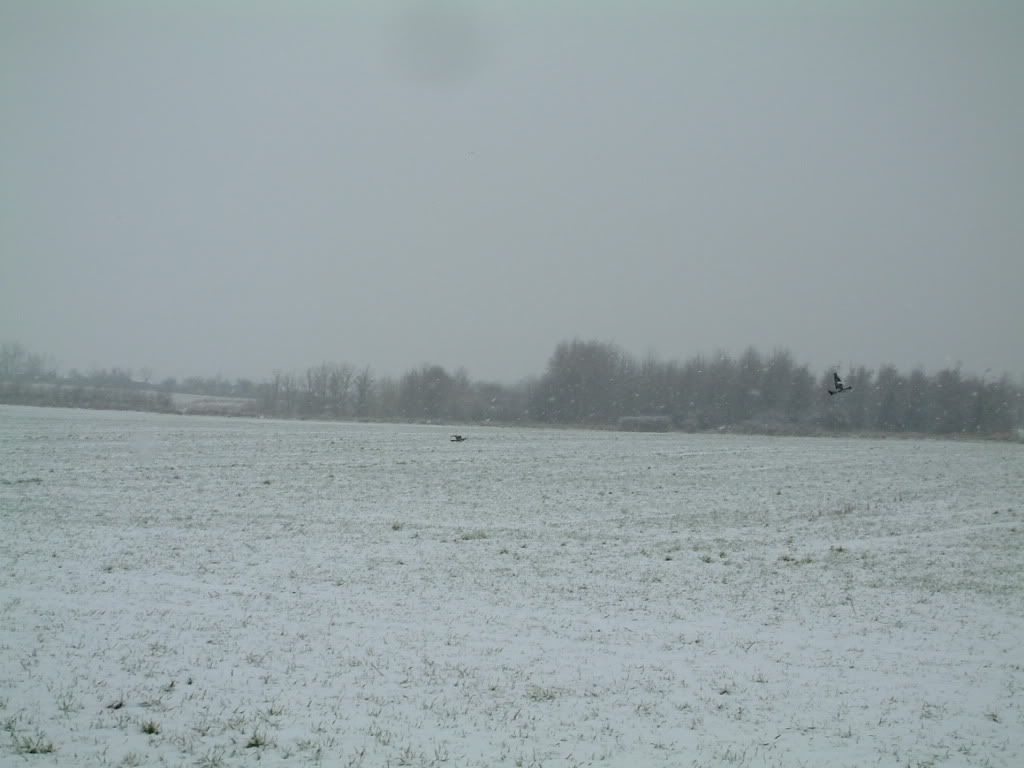 snow01074.jpg