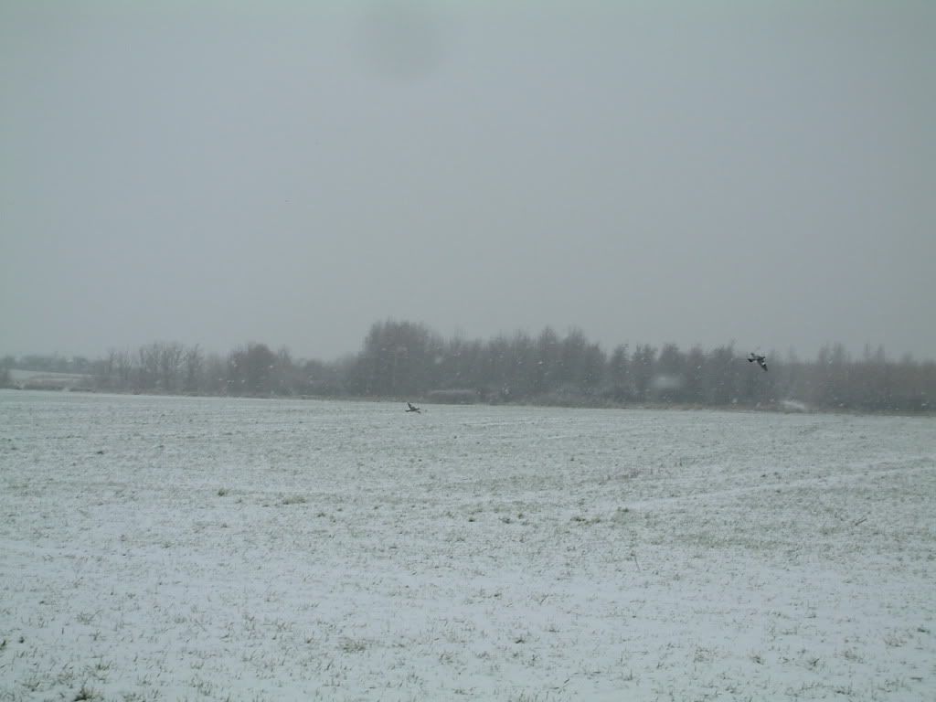 snow01075.jpg