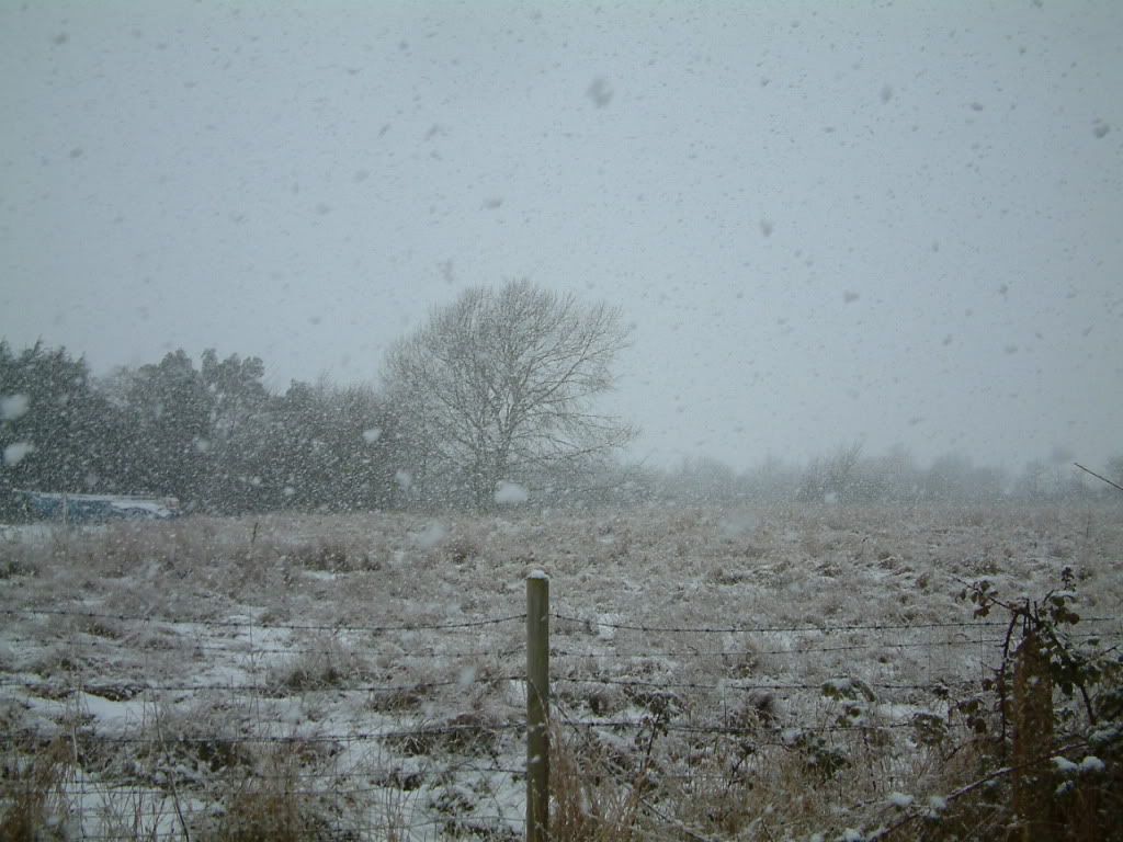 snownew006.jpg