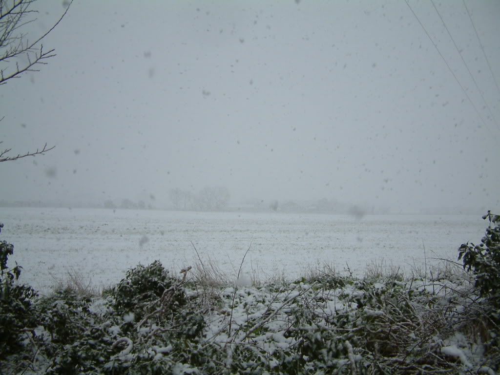 snownew008.jpg