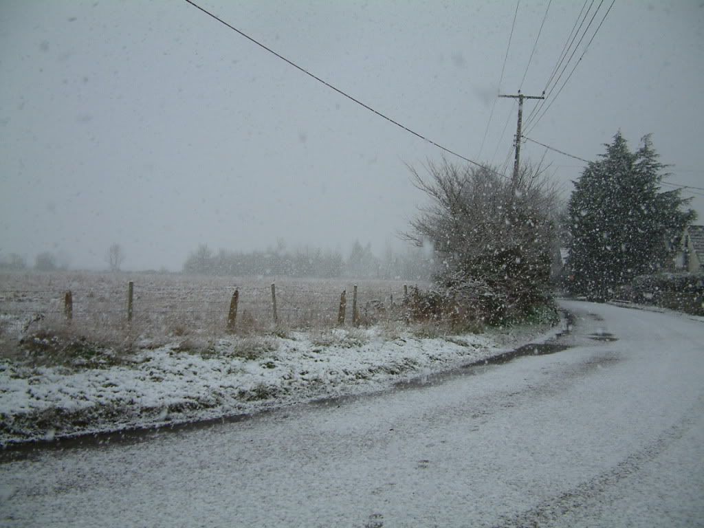 snownew010.jpg