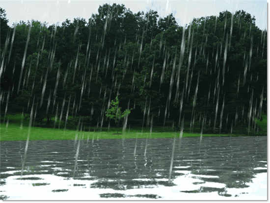 Rainfall Pictures, Images and Photos