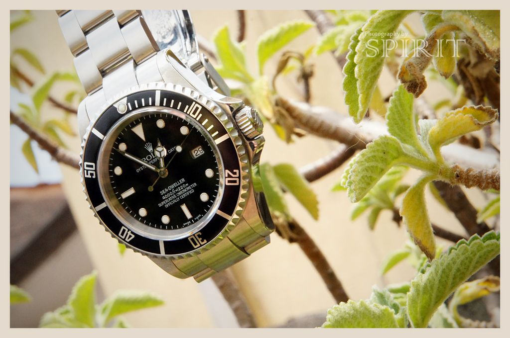 Sea-Dweller16600WeekendWristie-02copy.jpg