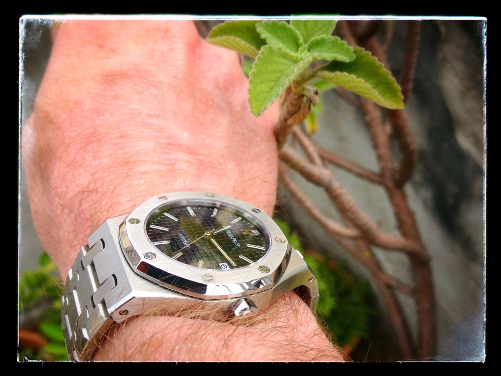 IMG_0459xR_zpse94b0cae.jpg