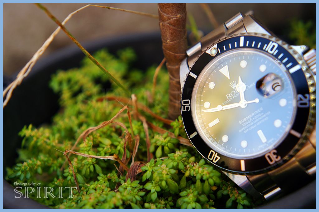 Submariner16610withPlants-01copy.jpg