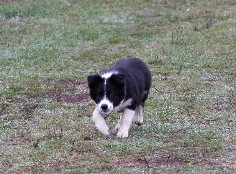 mini-pictures103.jpg