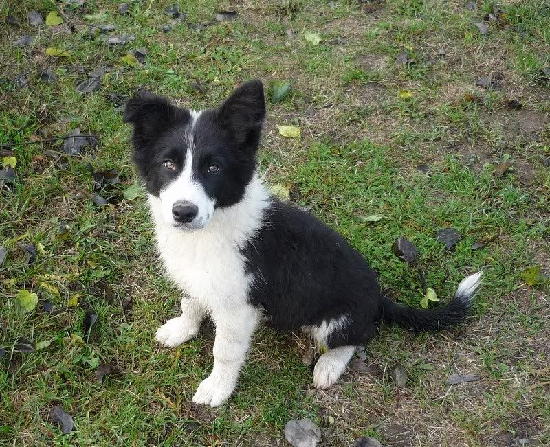 mini-AdamBilder110.jpg