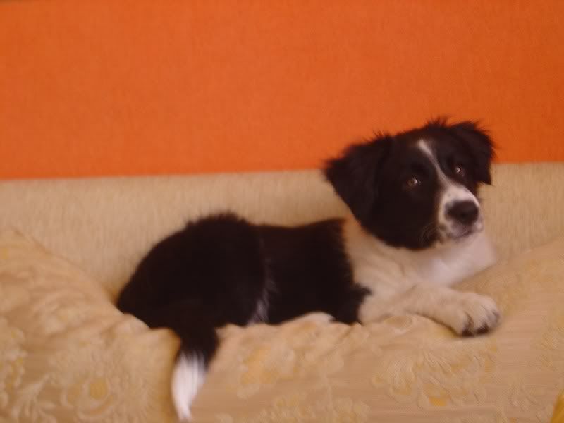 mini-DSC04983.jpg