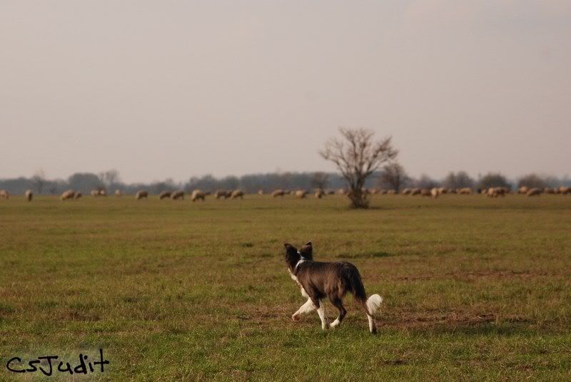 mini-11_26276.jpg