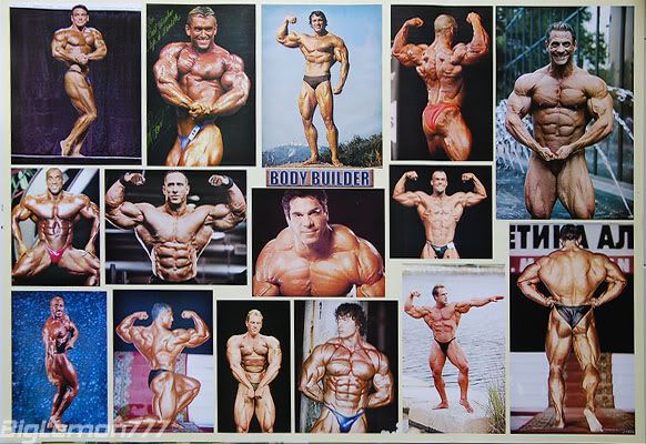 bodybuilders posters. This poster is shipped in a