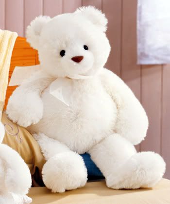 a_1394_gund-brighton-white-teddy-be.jpg