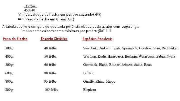 força flecha