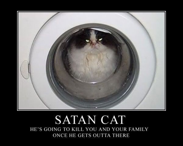satanic wallpaper. Satan Cat Image