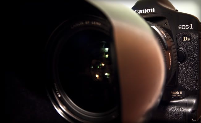 IMAGE: http://i583.photobucket.com/albums/ss279/bscphoto/1ds2470-1.jpg