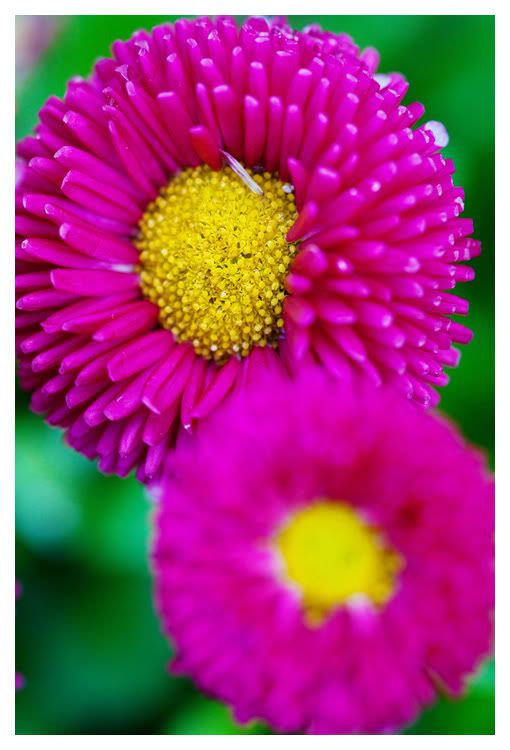 IMAGE: http://i583.photobucket.com/albums/ss279/bscphoto/place_172.jpg