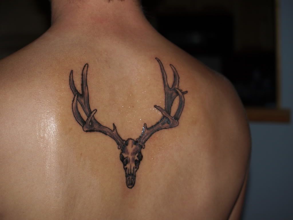 have a mule deer tattoo