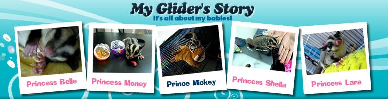 My Gliders' Story~