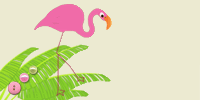 Flamingo Border