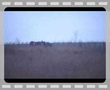 th_MOV034_Edit.jpg