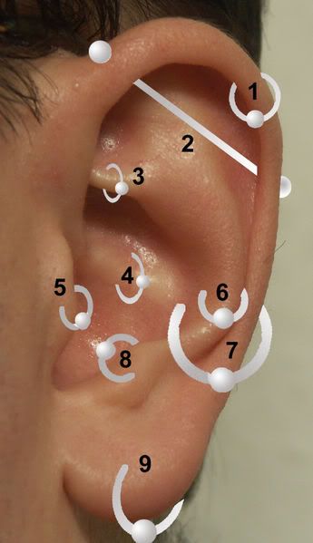 345px-Earrings.jpg Types of Ear Piercings picture by mcnight12345