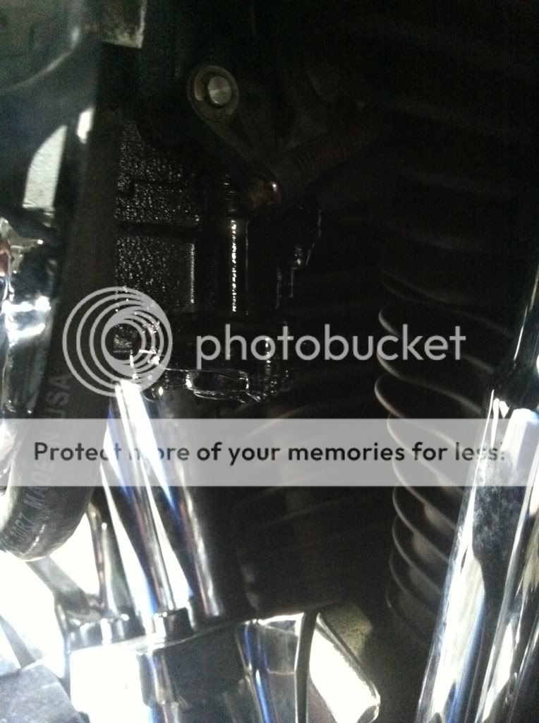 Help bike leaking gas pics Harley Davidson Forums