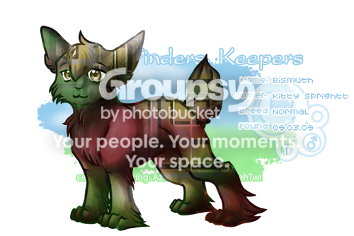 User Image