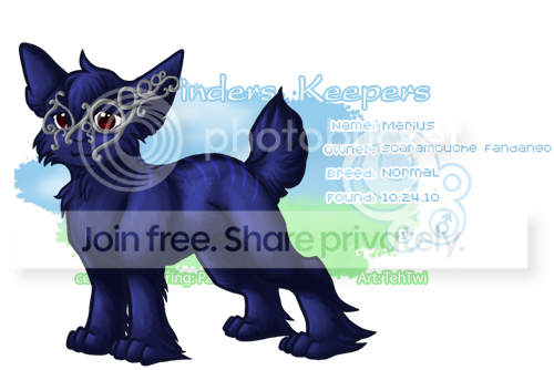 User Image