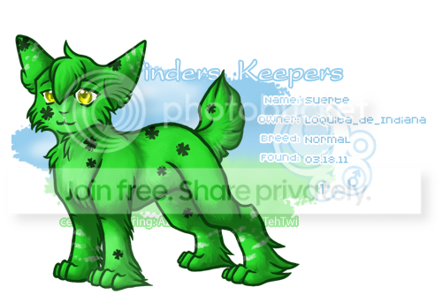 User Image